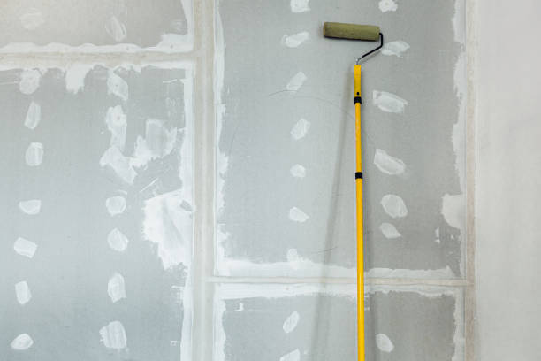 Reliable Northdale, FL Drywall & Painting Services Solutions